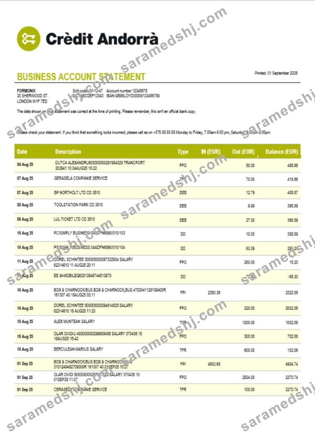 Credit Andorran bank business statement Word and PDF template